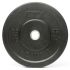 25 kg ATX Rough Rubber Bumper Plate
