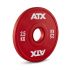2,5 kg Rubber Fractional Plate