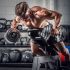 CHD Dumbbells Chroom