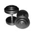 Gietijzeren CHD dumbbells met rubberen eindplaten