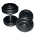Rubberen CHD dumbbells met rubberen eindplaten