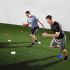 Behendigheidstraining en reactietraining met speed discs