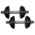 Gietijzeren Dumbbell Set 2 x 10kg