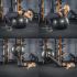 De Gymnastiekbal is ideaal voor allerlei gymnastiek, aerobics en fitness oefeningen