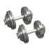 Chromen Dumbbell Set 2 x 30kg