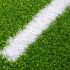 Groene Sprint Track met een zeer hoge vezeldichtheid