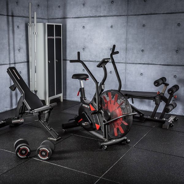 xebex elite air bike