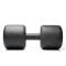 ATX Monster Dumbbells met een 60 mm diameter handgreep