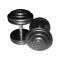 Gietijzeren CHD dumbbells met rubberen eindplaten