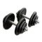 Gietijzeren Dumbbell Set 2 x 20kg