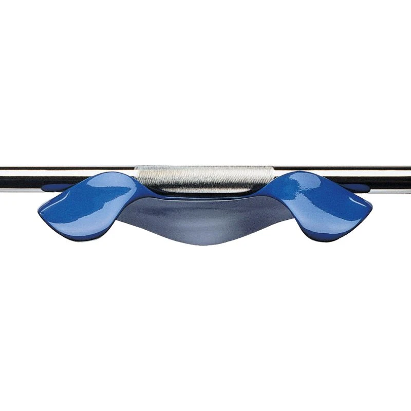 Manta Ray
