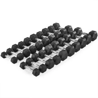 Hex Dumbbell Set 1 - 10 kg