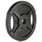 ATX Gietijzeren 2-Grip Halterschijven 50 mm