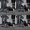 De multifunctionele ATX Glute Ham Roller maakt talloze oefeningen en variaties mogelijk