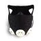 Voorkant van het masker