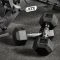Hex Dumbbells Rubber