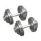 Chromen Dumbbell Set 2 x 30kg