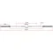 Afmetingen van de Olympische ECO Halterstang 205 cm