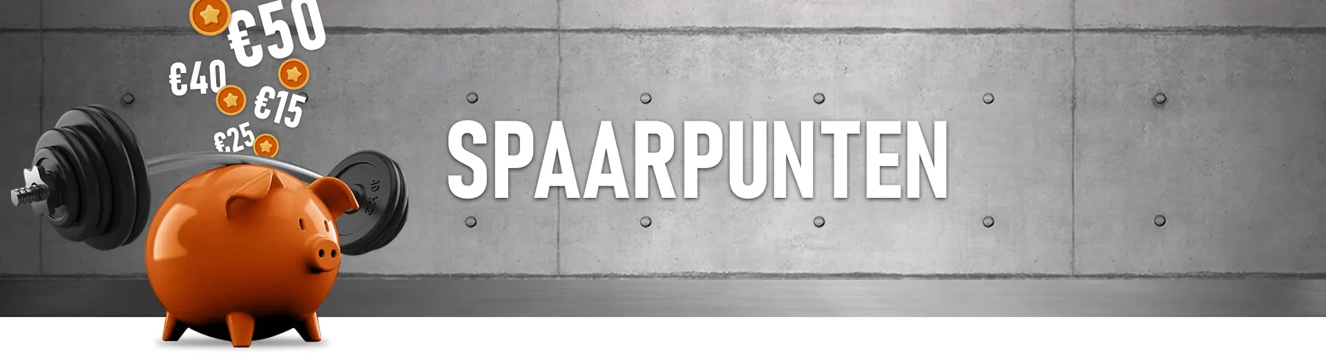 Spaarpunten